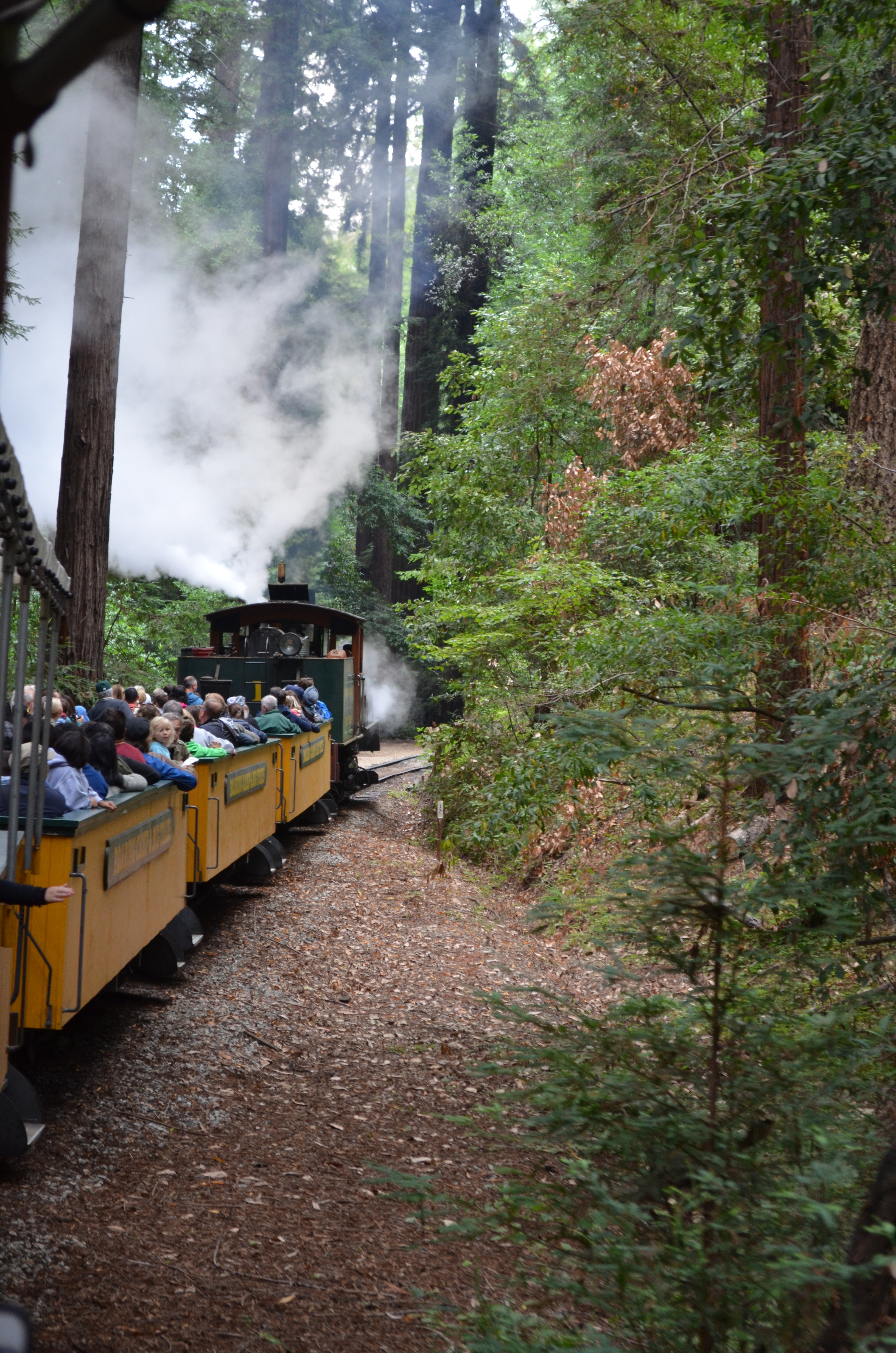 ./2018/09 - San Francisco/DSC_0202.JPG